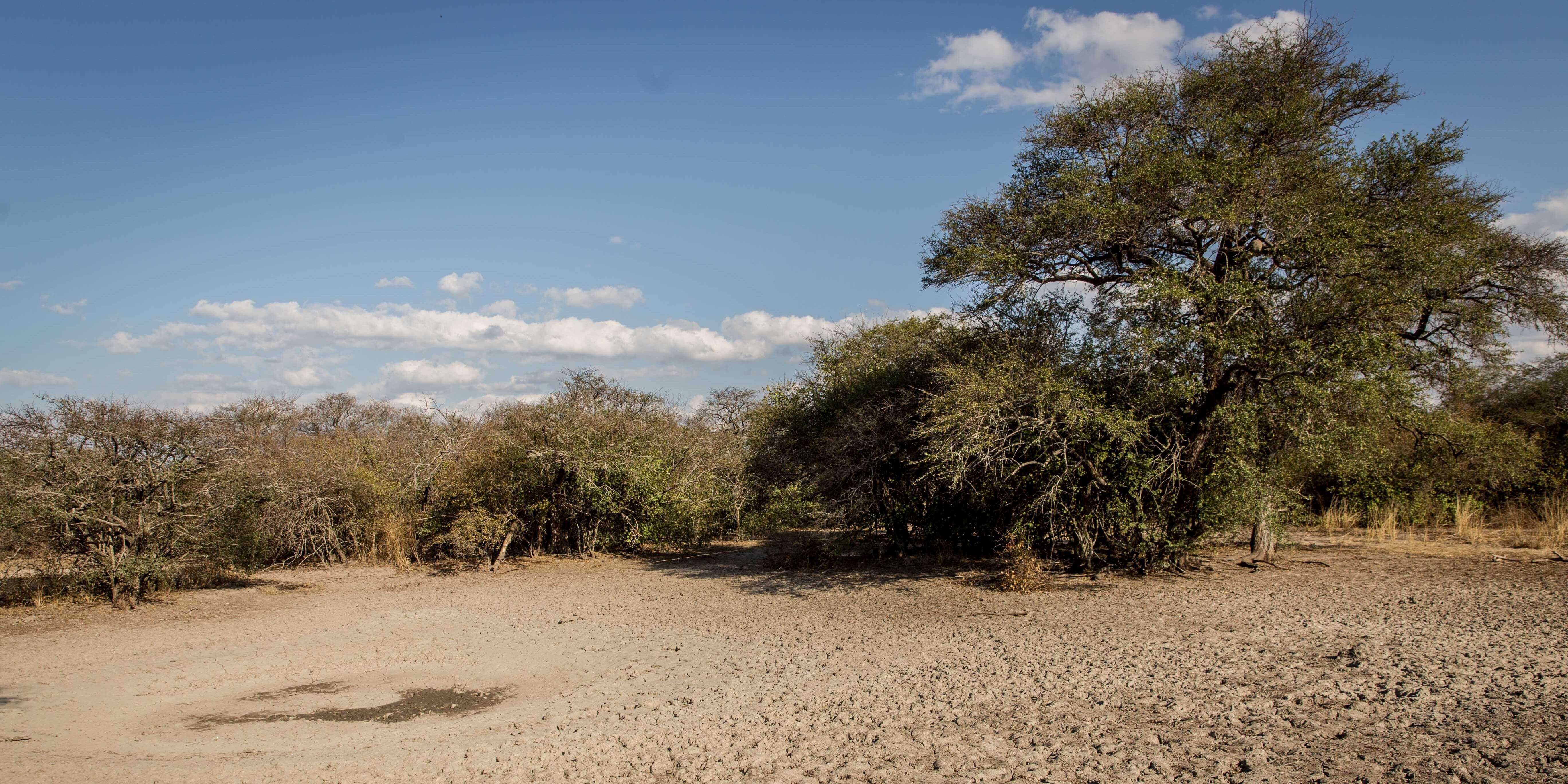 Reserva Natural Campo Iris