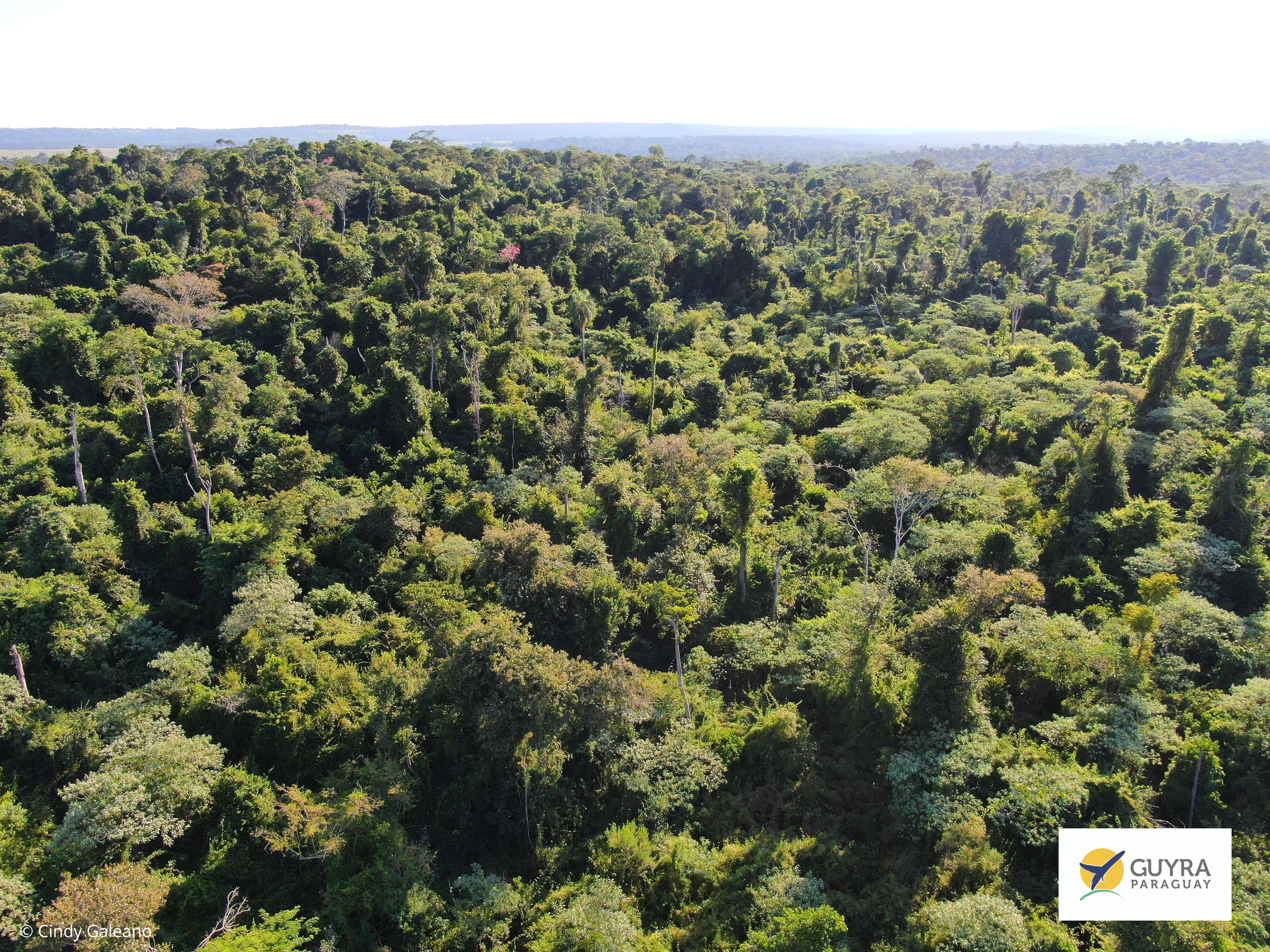 &copy; Cindy Galeano (2).jpg