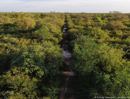 Lourdes Matoso 33432424.jpg