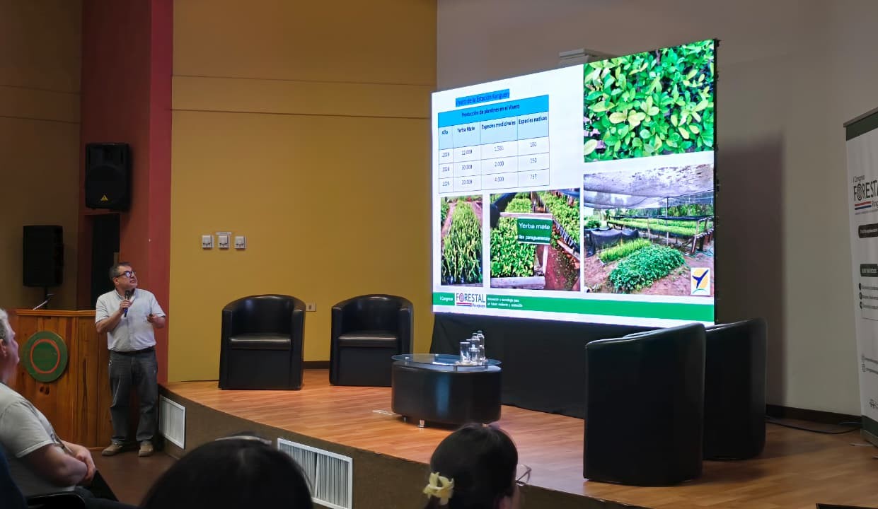 WhatsApp Image 2025-09-19 at 11.53.04 AM (1).jpeg