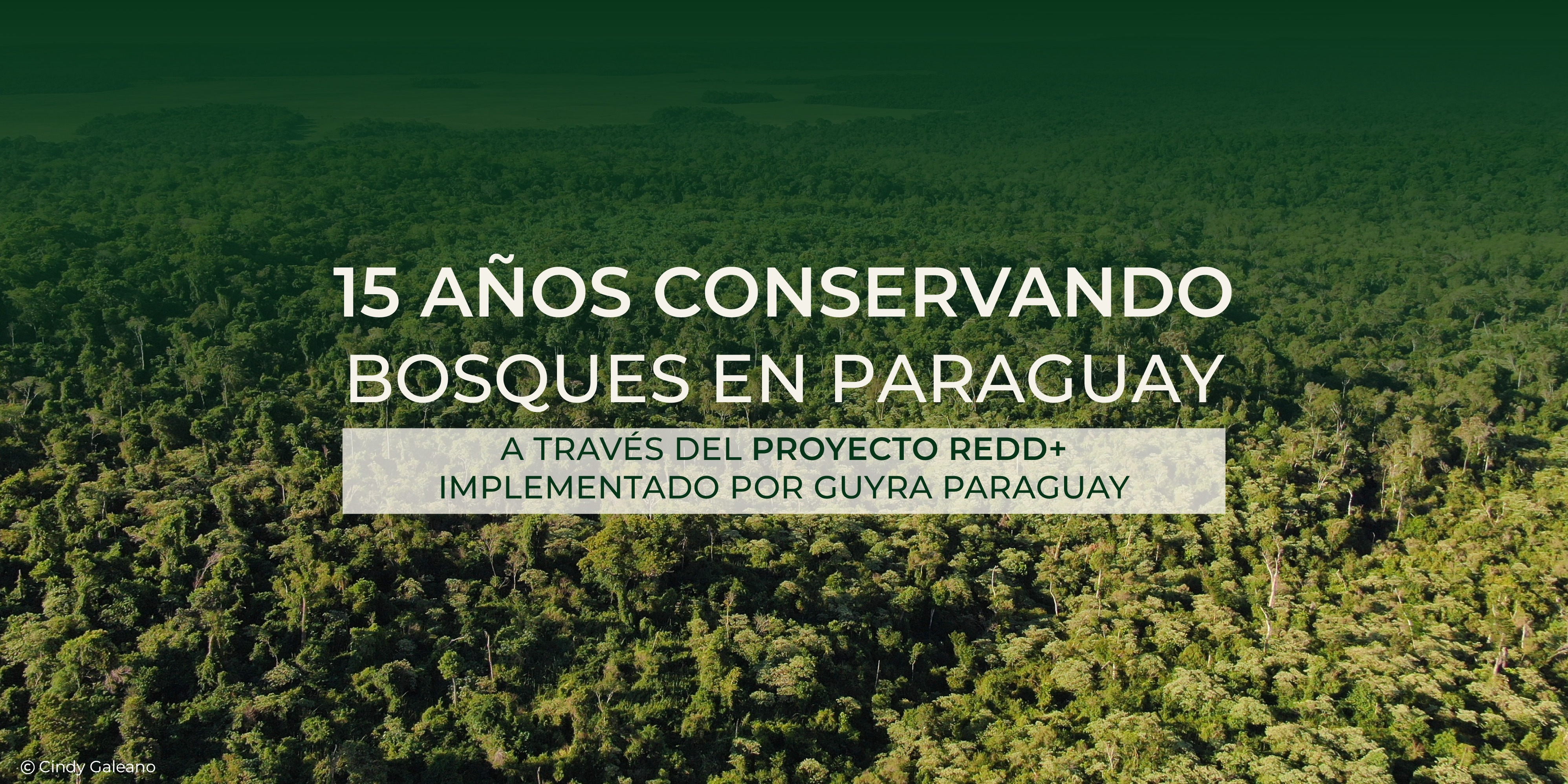 15 años de compromiso con el Clima, la Comunidad y la Biodiversidad: el Proyecto de Conservación de Bosques del Paraguay sigue generando impactos netos positivos.