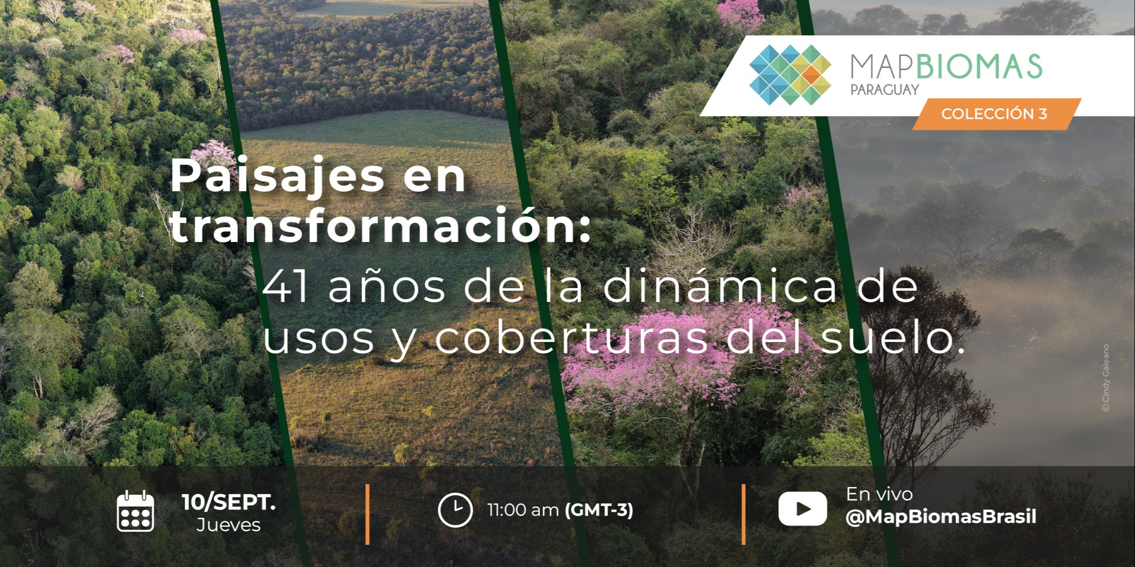 Paisajes en transformación: 41 años de la dinámica de usos y coberturas del suelo